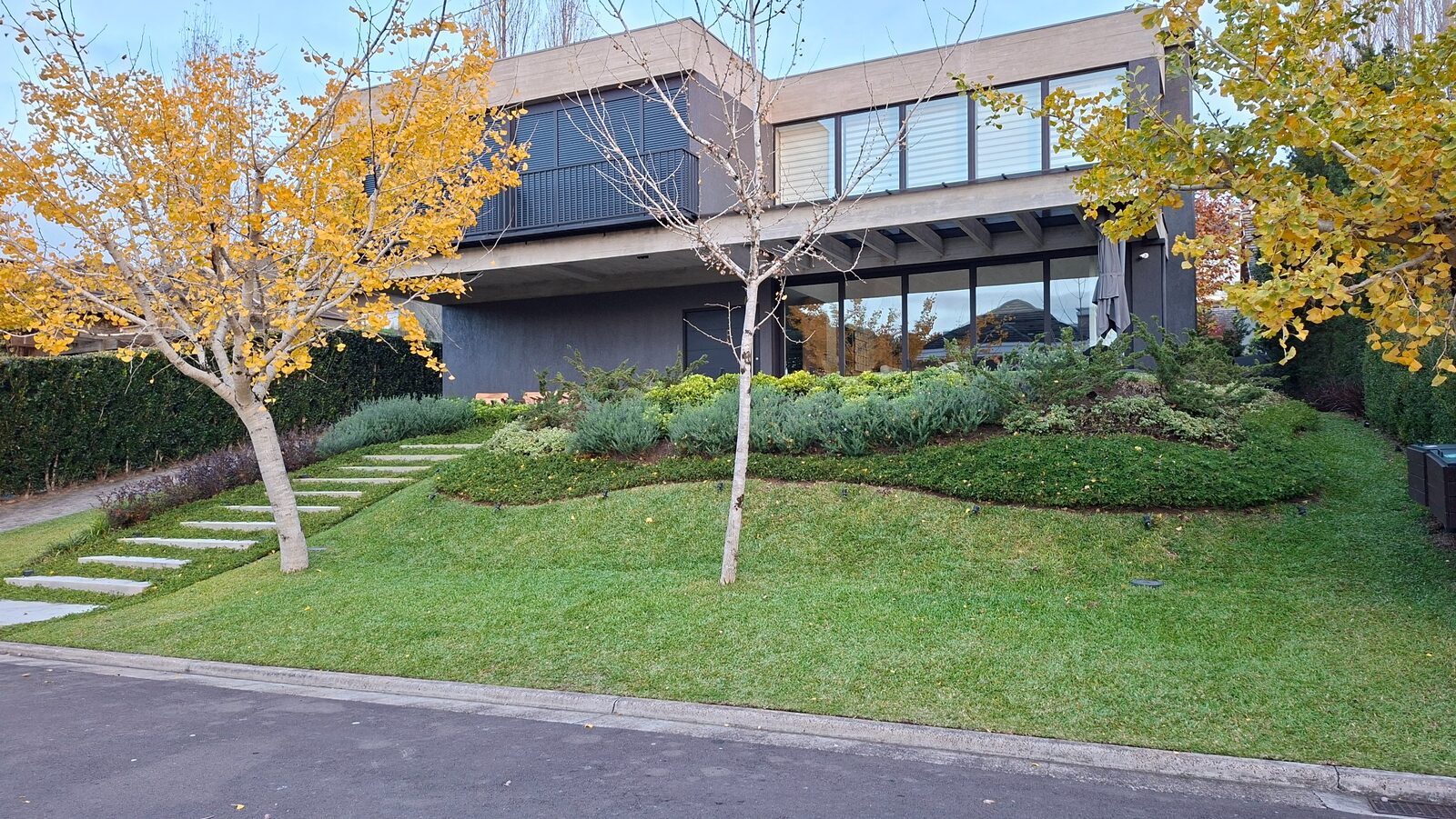 Depois — Limpeza e revitalização de jardim residencial