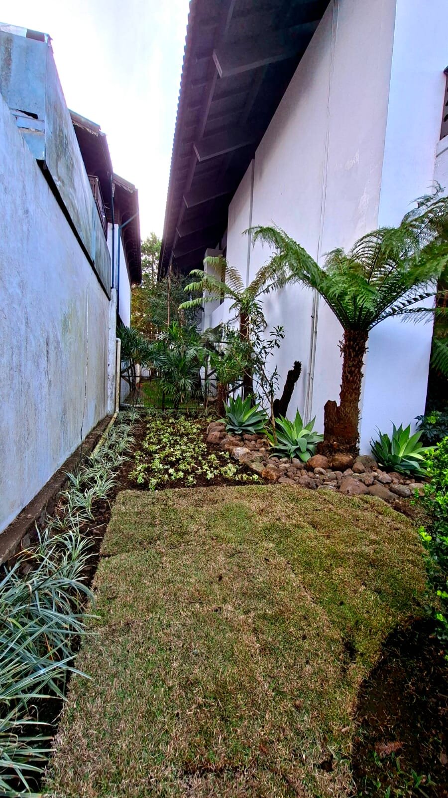 Depois — Paisagismo em corredor lateral