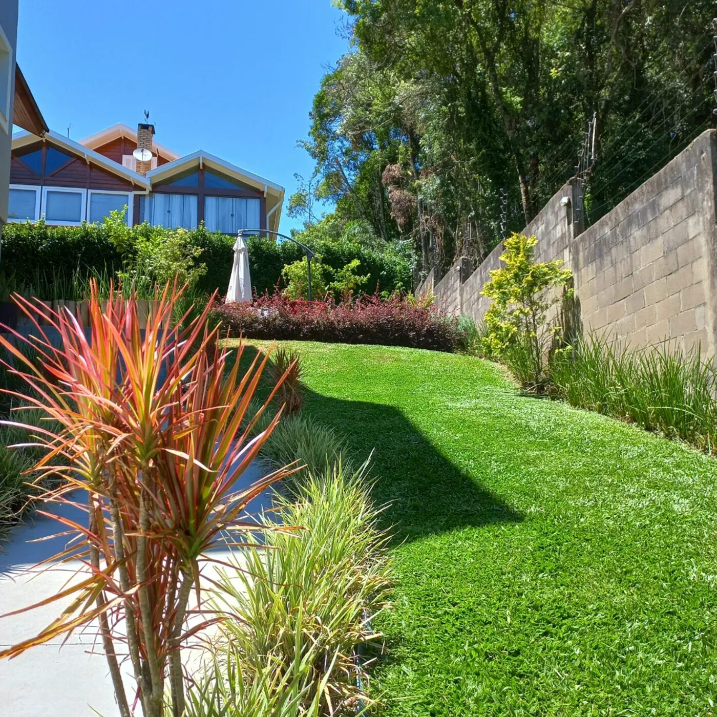 Jardim com gramado curvo, plantas ornamentais coloridas e arbustos aparados